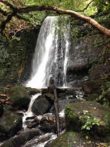Slope Point - Nugget Point Lighthouse-015